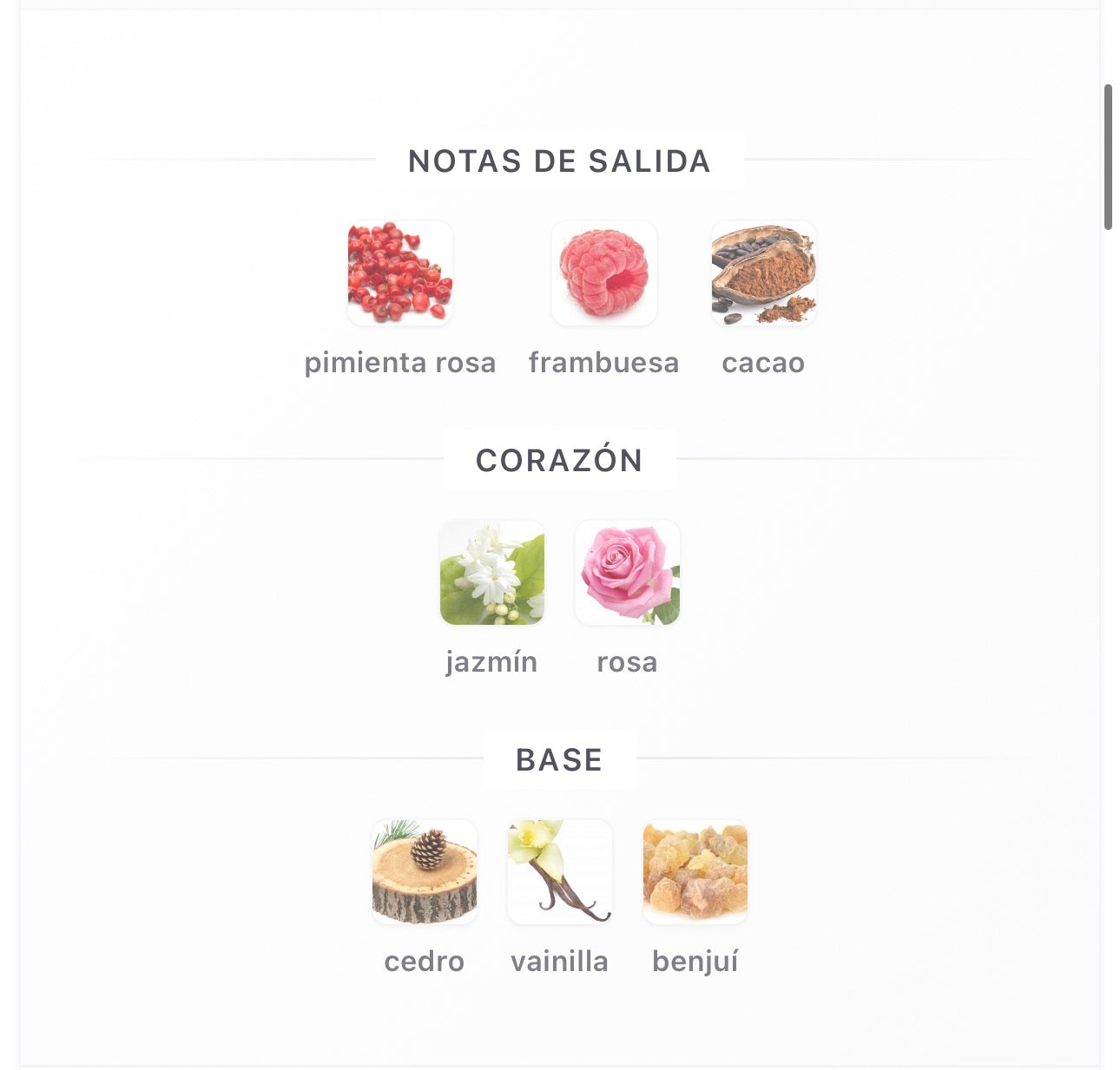 DUBAI DELICACY COTTON CANDY - ARMAF